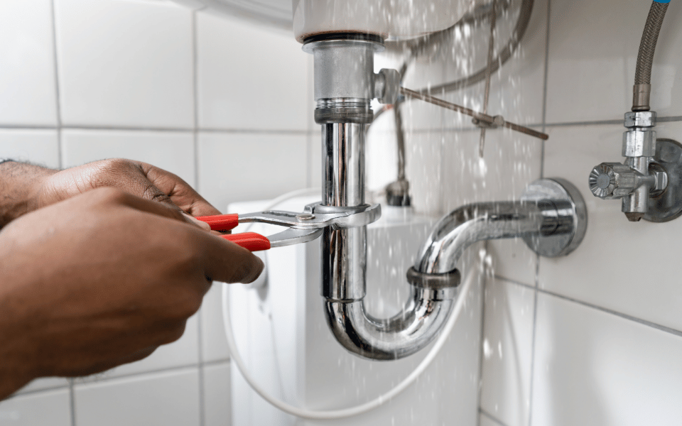 Reparación de fugas con homepro