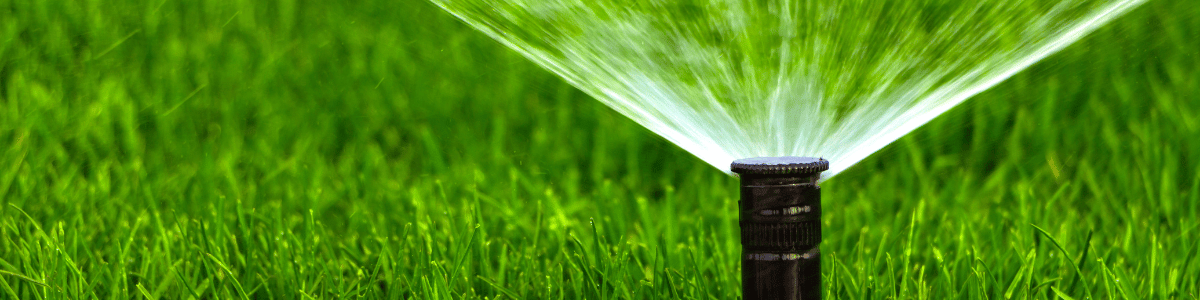 Prácticas Ecológicas en el Hogar para Menor Impacto