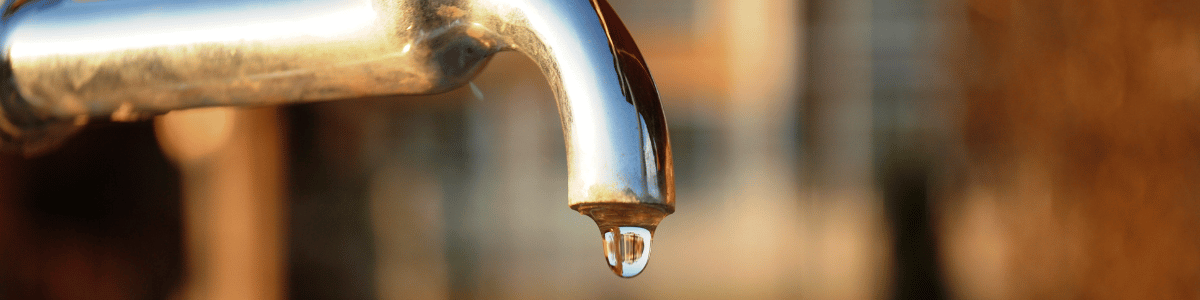 grifo goteando
