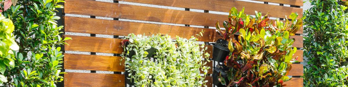 Techos Verdes y Jardines Verticales: Beneficios y Consejos