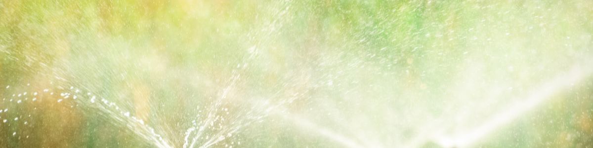 Verde Vibrante: Cómo Elegir el Mejor Sistema de Riego para Tu Jardín